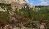 Trail Walking Saint-Antonin-sur-Bayon - st victoire les oratoires - Photo 1