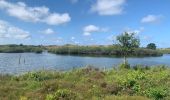 Trail Walking Bergen (NH) - Schoorl - Duinen - Photo 7