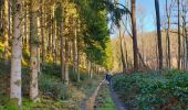 Excursión Senderismo Couvin - Balade à Petigny - Photo 2