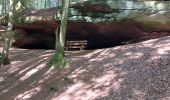 Randonnée Marche Münchweiler an der Rodalb - Felsenwald - Photo 9