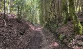 Randonnée Marche Charix - lac de genin - bretouze /  retour - Photo 11