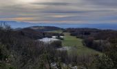 Trail Walking Saint-Genix-les-Villages - Mont Tournier - Photo 3