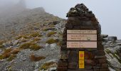 Tocht Stappen Uvernet-Fours - Col de la Cayolle - Circuit des Lacs - Photo 5