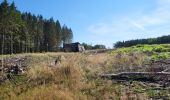 Trail Walking Trois-Ponts - logbierme 060824 - Photo 12