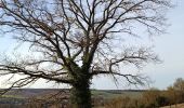 Trail Walking Vauchassis - Balade en forêt - Photo 2