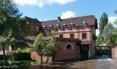 Tour Wandern Sablons sur Huisne - Condé-sur-Huisne - Rémalard via Villeray 11 km - Photo 6