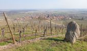 Trail Walking Dambach-la-Ville - Traversée du massif du Bernstein - Photo 3