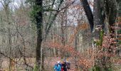 Tocht Stappen Rochefort - Lavaux-Sainte-Anne PVL Nov 2023 - Photo 12