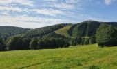 Trail Walking Linthal - rdpr lac de la lauch 210810 - Photo 6