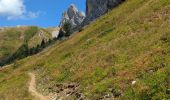 Trail Walking Villard-de-Lans - Villard de Lans Conservatia > col Vert - Photo 3