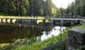 Tour Zu Fuß Freyung - Rundwanderweg Nr. 3 