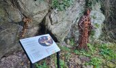 Trail Walking Mazamet - Mazamet : chemin de la passerelle  - Photo 7