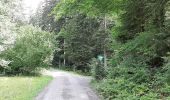 Tour Zu Fuß Lorch - Alfdorfer Wanderweg Nr. 4 Bemberlesstein - Photo 4