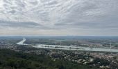 Tocht  Saint-Restitut - St Restitut, Chabrieres, le Barry - Photo 6