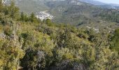 Trail Walking Gémenos - Coulin, Mont Cruvelier, Sommet de Bigou - Photo 4