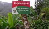 Tour Wandern Le Lorrain - 22 mai 22 Morne 22 km Lorrain  - Photo 2