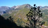Tour Wandern Castellane - Castellane - Chapelle St Thyrs - Petit Robion - Sommet Robion - Gorges du Rayaup - Photo 10