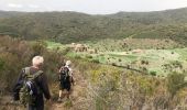Trail Walking Banyuls-sur-Mer - Col Banuyls  - Photo 9