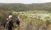 Randonnée Marche Banyuls-sur-Mer - Col Banuyls  - Photo 9