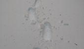 Percorso Racchette da neve Le Valtin - 14-12-19 Schlucht raquettes - Photo 11