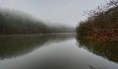 Tour Wandern Stauseegemeinde - Bavigne 15,6 km - Photo 3