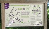 Trail Walking Canteleu - Forêt monumentale - Photo 1