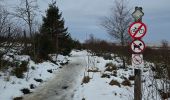 Percorso Marcia Waimes - Hautes-Fagnes ❄️☃️ - WM1 🟦 - Photo 16