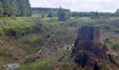 Randonnée Marche Jalhay - solwaster : les arsins . wihonfagne . le rhus . morefagne - Photo 9