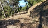 Trail Walking Vaison-la-Romaine - Vaison la Romaine - La colline de Mars - Photo 8