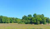 Tocht Stappen Villers-le-Bouillet - gotroul . merexhe . doyard . champia . antheit . gotroul - Photo 8