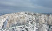 Excursión A pie Grünenplan - HZ3 Auf dem Kammweg zum Raabe-Turm - Photo 1