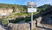 Tocht Stappen Saint-Étienne-Vallée-Française - Etape 10 St Étienne vallée française/St Jean du gard  - Photo 9