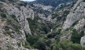 Randonnée Marche Cheval-Blanc - Gorges du Regalon version longue ( hautes pleines ) - Photo 8