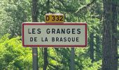 Randonnée Marche Lantosque - Granges de la Brasque  - Photo 7
