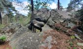 Tocht Stappen Fontainebleau - Fontainebleau Circuit PR Sentier Denecourt 5 - Photo 18