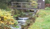 Excursión Senderismo Bad Rippoldsau-Schapbach - Bad Rippoldsau - cascade de Burgbach – lac de retenue Kinzig -  cascade du Büstenloch - Photo 18