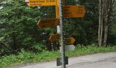 Tour Nordic Walking Ayent - Anzère - Botyre  - Photo 5