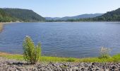 Tour Wandern Celles-sur-Plaine - Du lac de la Plaine au lac de Vieux-Pré à Pierre-Percée - Photo 4