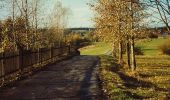 Excursión A pie Sonneberg - Rund um den Schönberg - Photo 4