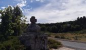 Percorso Marcia Peyre en Aubrac - le rocher du Cher - Photo 1