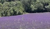 Tour Wandern Roche-Saint-Secret-Béconne - Saint-secret-béconne - Photo 5