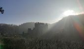 Trail Walking Wierschem - château Eltz - Photo 11