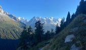 Tour Wandern Chamonix-Mont-Blanc - Argentiere - Photo 2