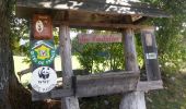 Tour Wandern Vassieux-en-Vercors - col de proncel la chapelle - Photo 4