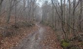 Tour Zu Fuß Naumburg (Saale) - Geiersberg&Galgenberg Wanderwegenetz - Photo 1