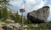Trail Walking Colle Santa Lucia - Passo Di Giau - Rifugio Nuvolau - Photo 2