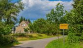 Excursión A pie Märkische Heide - Wanderweg Pretschen-Wittmannsdorf-Bückchen-Groß Leuthen - Photo 6