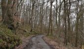 Trail Walking Liège - Jupille Bois Sauvage Beyne Fayenbois  - Photo 9