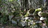 Randonnée Marche Levie - levie  a Serra di Scopemene et Santa Luccia di Tallamo - Photo 8