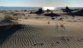 Trail On foot Grosseto - A3 Le Grotte - Photo 3